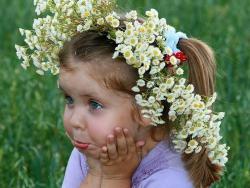 post-4989-0-02777700-1421773421_thumb.jp