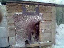 post-4989-0-08002400-1420560929_thumb.jp