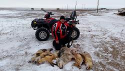 post-7195-0-42762100-1422627998_thumb.jp