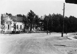 post-1028-0-71072500-1298901082_thumb.jp