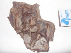 post-1131-0-77297600-1296997727_thumb.jp