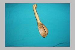 post-1996-0-95966900-1297676242_thumb.jp