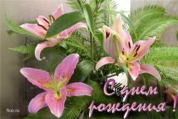 post-2102-0-38405900-1296966556_thumb.jp