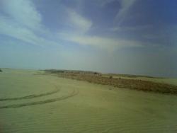 post-2863-0-45057600-1298698715_thumb.jp