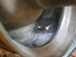 post-2917-0-31953200-1297782098_thumb.jp