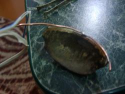 post-2917-0-36026800-1297775706_thumb.jp