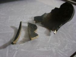 post-2917-0-56818100-1297773494_thumb.jp