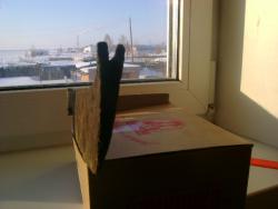 post-3395-0-98682000-1297594433_thumb.jp