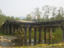 post-3939-0-11515000-1297882380_thumb.jp