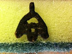 post-4269-0-15044300-1298474387_thumb.jp