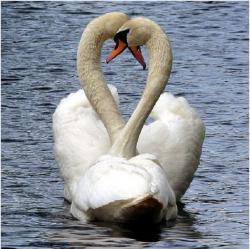 post-4289-0-06951800-1297702613_thumb.jp