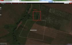 post-4840-0-44405500-1297100790_thumb.jp