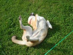 post-4957-0-63195800-1296573310_thumb.jp