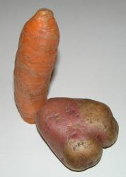 post-5029-0-59581100-1297663739_thumb.jp