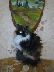 post-5575-0-76038800-1298472799_thumb.jp