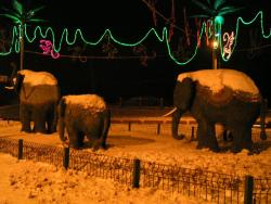 post-5575-0-77797000-1298197930_thumb.jp