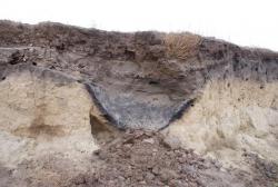 post-5609-0-16598700-1297153370_thumb.jp