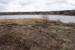 post-5609-0-17953100-1297150057_thumb.jp