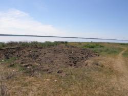 post-5609-0-20810300-1297078855_thumb.jp