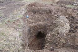 post-5609-0-24945000-1297150231_thumb.jp