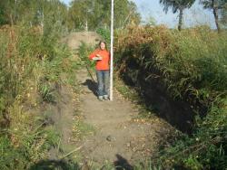 post-5609-0-31774100-1297079231_thumb.jp