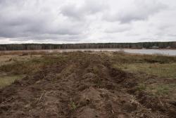 post-5609-0-48857700-1297149935_thumb.jp