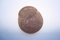 post-5838-0-13768300-1298189613_thumb.jp