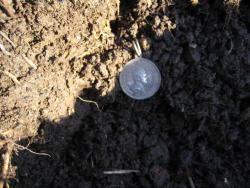 post-5838-0-50666100-1298190575_thumb.jp