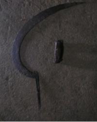 post-10001-0-49023500-1328954773_thumb.j