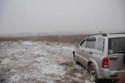 post-1023-0-18304200-1329405779_thumb.jp