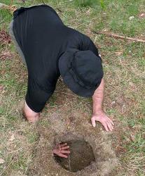 post-1131-0-70328000-1328070312_thumb.jp