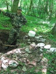 post-1507-0-27171200-1329247000_thumb.jp