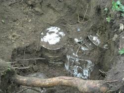 post-1507-0-78117000-1329246950_thumb.jp