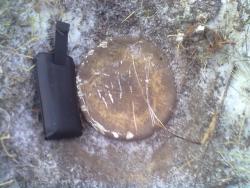 post-1724-0-60196600-1329460073_thumb.jp