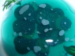 post-2838-0-57864000-1328799763_thumb.jp