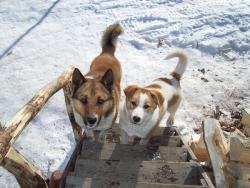 post-2863-0-79067600-1328925913_thumb.jp