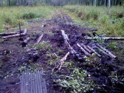 post-3699-0-63074900-1328759732_thumb.jp