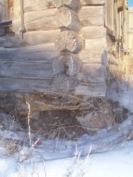 post-4269-0-08412300-1329746399_thumb.jp