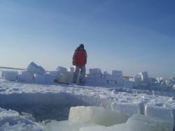 post-4269-0-14422200-1330442109_thumb.jp