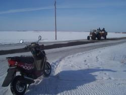 post-4269-0-21734300-1330440434_thumb.jp