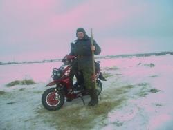 post-4269-0-58090600-1328441729_thumb.jp