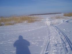 post-4269-0-64640500-1330440996_thumb.jp