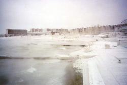 post-4489-0-26925600-1328105680_thumb.jp