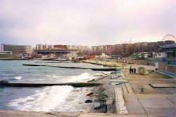 post-4489-0-63456900-1328105455_thumb.jp