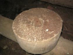 post-5580-0-08377500-1329924458_thumb.jp