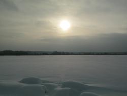 post-5580-0-10982200-1329924021_thumb.jp