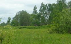 post-5580-0-30612700-1328293108_thumb.jp