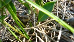 post-5580-0-44080600-1328293008_thumb.jp