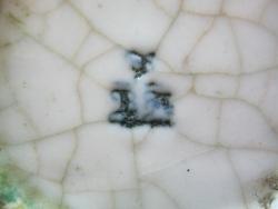 post-5580-0-70077100-1328257424_thumb.jp