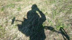 post-5580-0-74023300-1328176462_thumb.jp